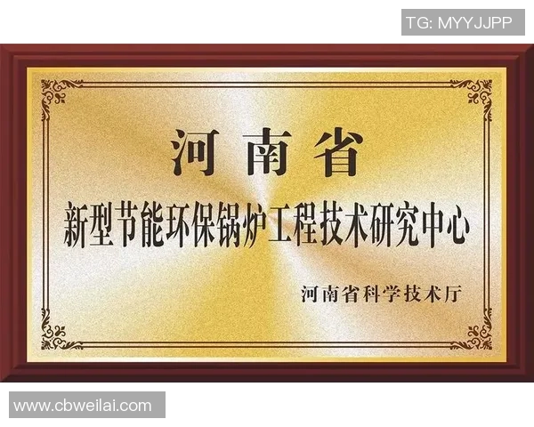 基于uu国际分片技术的高效数据传输与处理方案研究与应用探索 基于uu国际分片技术的高效数据传输与处理方案研究与应用探索